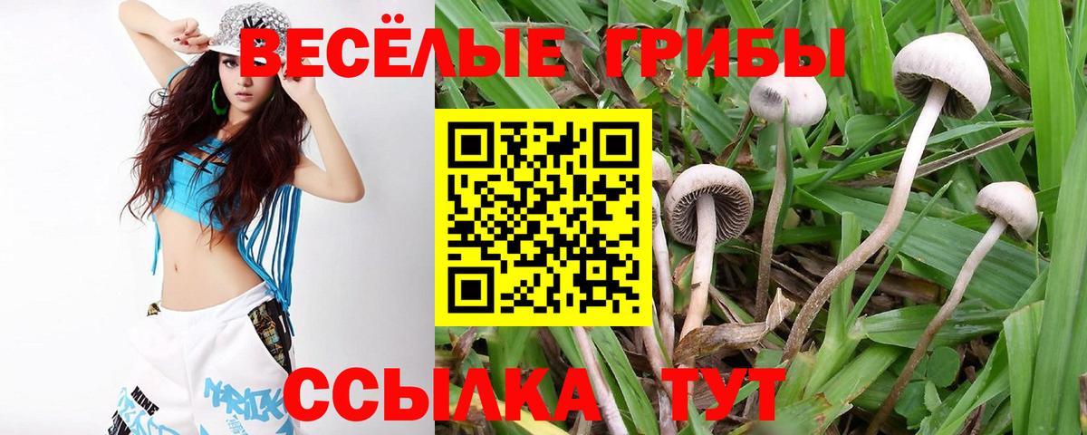 Галлюциногенные грибы мицелий Губкин