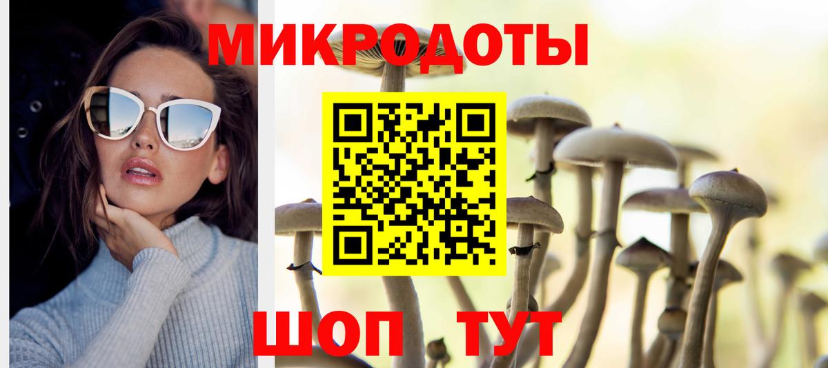 Псилоцибиновые грибы прущие грибы  Вход с VPN  хочу наркоту  Галлюциногенные грибы ЛСД  Губкин 