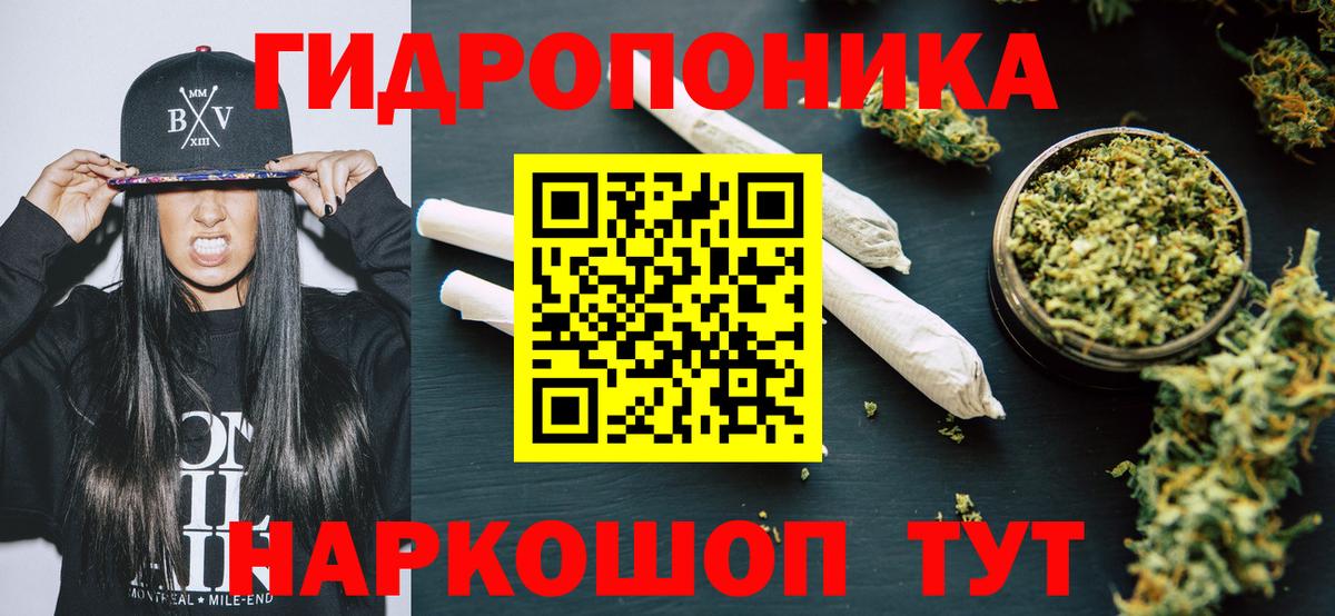 Губкин  Бошки Шишки планчик  Канабис ГИДРОПОН  Бошки марихуана планчик  Вход с VPN 
